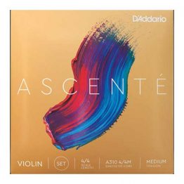 Ascente 4/4 Violin Set