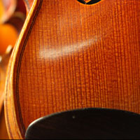 Violin Picture