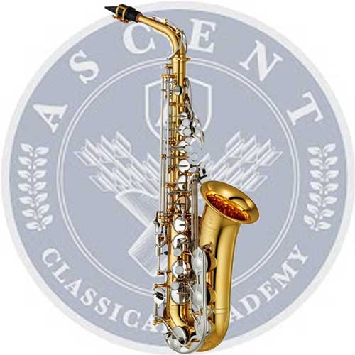 Ascent Classical Alto Sax Bundle – Boomer