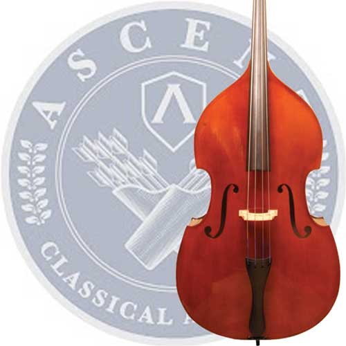 Ascent Classical Bass Accessories Bundle – Boomer Music Company