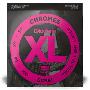 ecb81 bass guitar strings