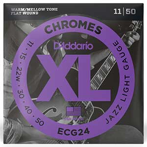 egc24 electric guitar strings